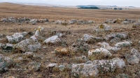 Кладбище Кызаулер с тремя стелами-кулпытасами