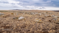 Кладбище Кызаулер с тремя стелами-кулпытасами