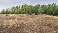 Постройки круглой формы (плавильные печи)
