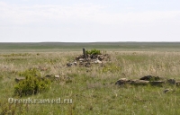 Старое кладбище близ реликтовой лиственницы 1. Май 2012 года