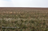 Природа Оренбуржья