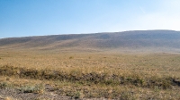 Беляевский район