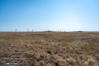 Гора Аккарга. Июнь 2025 года