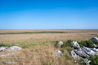 Гора Аккарга. Июнь 2025 года