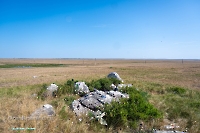 Гора Аккарга. Июнь 2025 года