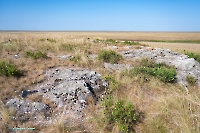 Гора Аккарга. Июнь 2025 года
