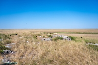 Гора Аккарга. Июнь 2025 года