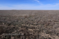 Городской округ Орск