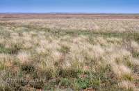 Городской округ Орск