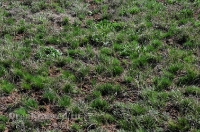 Городской округ Орск