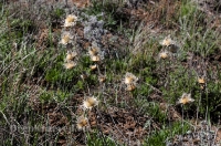 Городской округ Орск