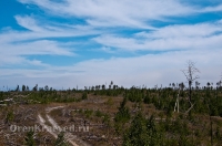 Кваркенский район