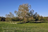 Кувандыкский район