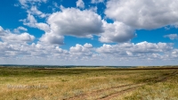 Беляевский район
