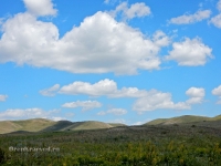 Саракташский район