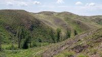 Гайский район