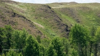 Гайский район