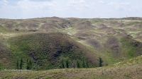 Гайский район