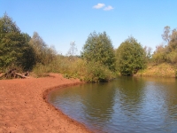 Бузулукский бор