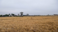 Кваркенский район