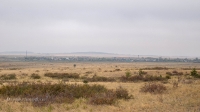 Село Андрианополь. Август 2021 года