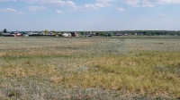 Село Красногор. Следы крепостного вала и рва