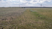 Село Красногор. Следы крепостного вала и рва
