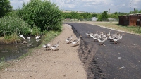 Посёлок Уранбаш