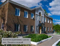 Адамовский район