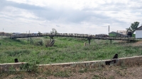 Село Андреевка. Июнь 2021 года