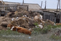 Посёлок Слюдяной