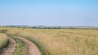 Село Нижняя Кийма