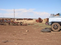 Село Орловка. Июль 2010 года.