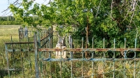 Урочище Волковский