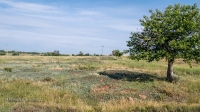 Урочище Петропавловка