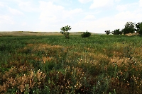 Село Чаган. 2011 год