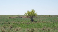 Село Ащельсай