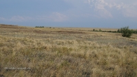 Аул Коинсай (Каинсай)