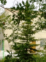 Посёлок Новорудный