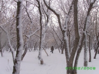 Посёлок Новорудный