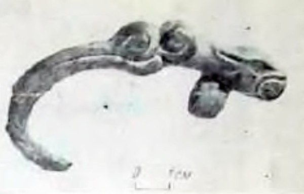 Шиханы. Бронзовый колчанный крючок из савроматской грунтовой могилы