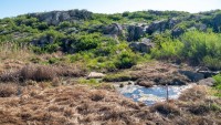 Урочище Тасбулак – некогда памятник природы областного значения