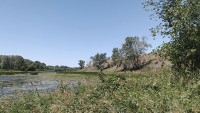 Маячный затон у подножия одноименной горы является крупным нерестилищем