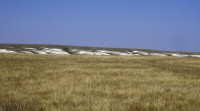 Троицкие меловые горы простираются на многие километры вдоль балки Акбулак