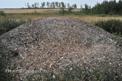 Гора костей из археологических раскопок