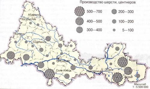 Производство шерсти в 1999 г.