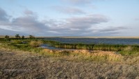 Карагашский пруд (пруд на ручье Карагашка)
